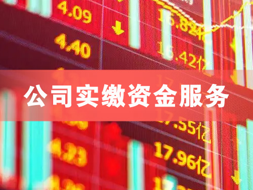 老河口公司实缴资金服务